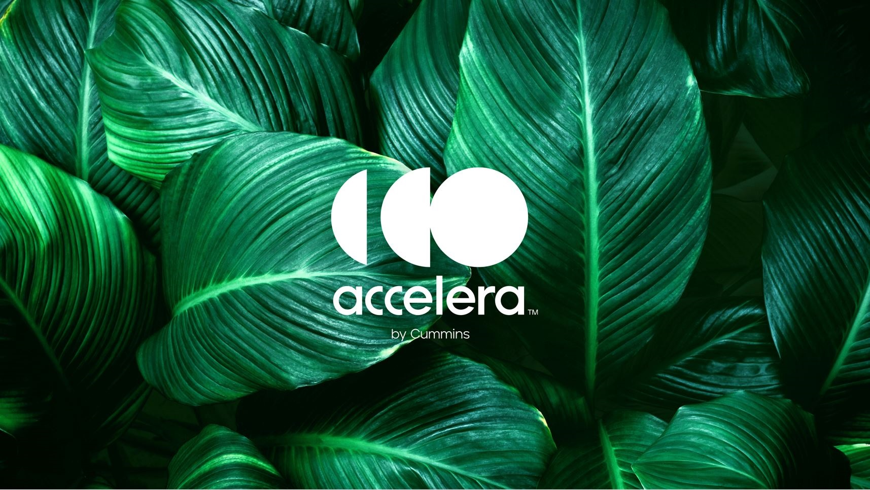 accelera